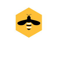 Social Media Trend Discussion 